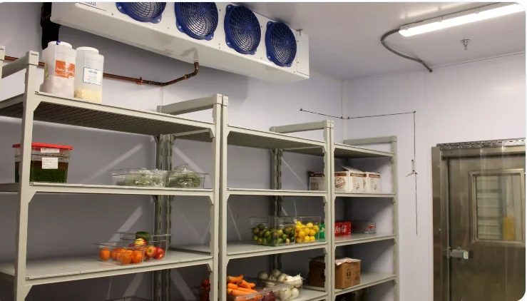 A commercial walk-in cooler interior at a Lakeland, FL business, showing clean evaporator coils, sealed door gaskets, and organized cold storage shelving. A refrigeration technician from Temperature Solutions inspects the unit's components during a routine service visit.